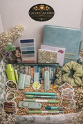 🌿 The Fern Grove Bundle 🌰