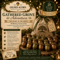 🌿 Gathered Grove Adventure | The Heart of the Grove | 20 Mystery Acorns of Joy