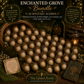 ✨ Enchanted Grove Bundle – 50 Mystery Acorns ✨